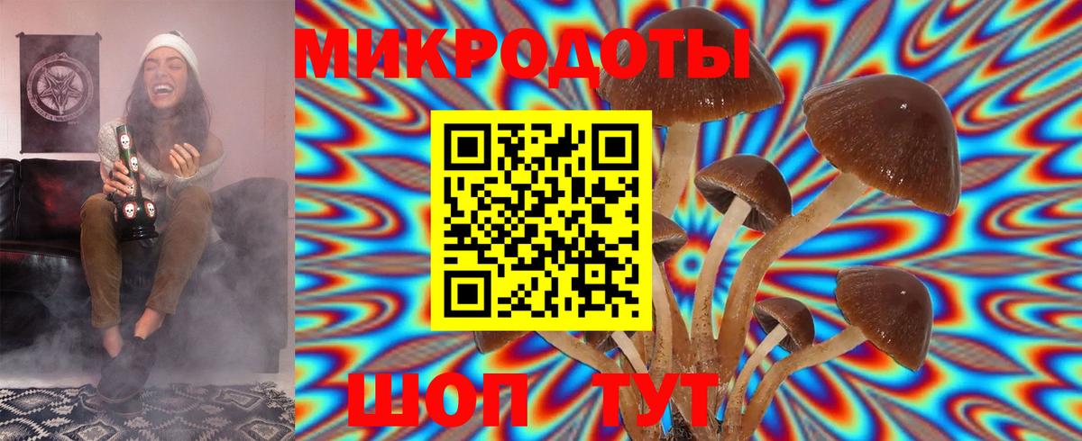 Псилоцибиновые грибы прущие грибы Нижнеудинск