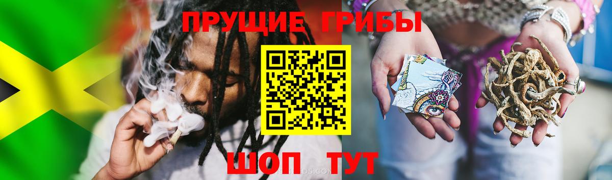 Псилоцибиновые грибы ЛСД  Вход с VPN  Нижнеудинск 